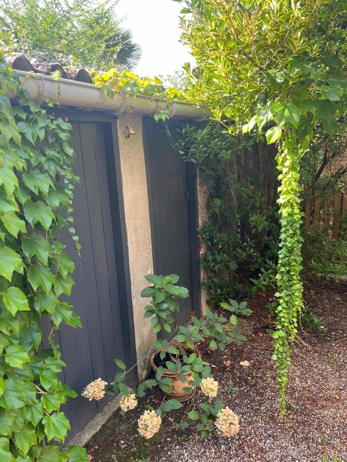 Appartement Cosy Avec Jardin Quartier Calme Toulouse Bagian luar foto